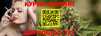гашик Будённовск