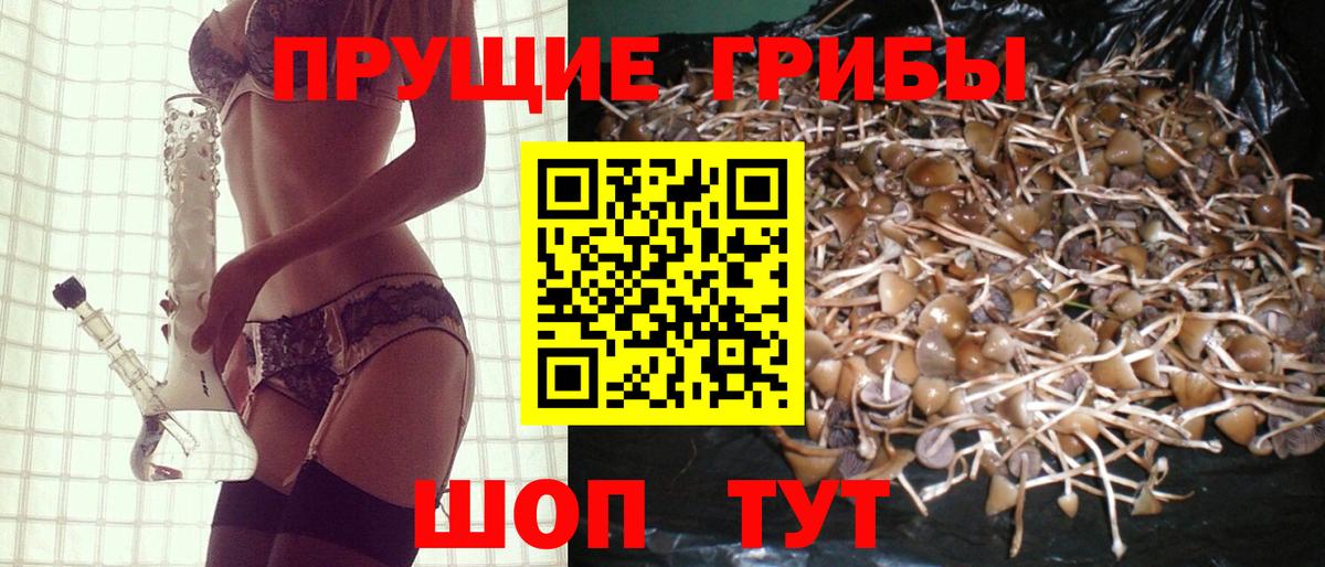 Галлюциногенные грибы Cubensis Озёры