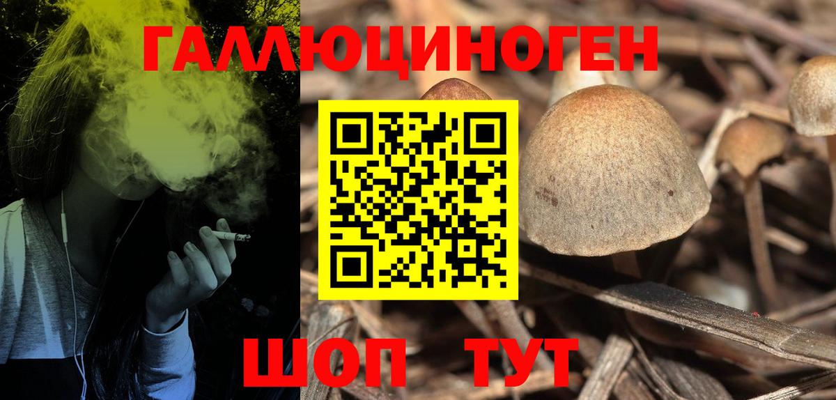 Галлюциногенные грибы Magic Shrooms  Псилоцибиновые грибы Cubensis  как найти закладки  Вход с VPN  Озёры 